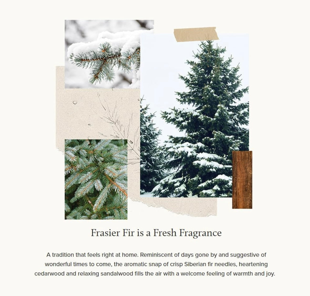 Thymes Frasier Fir Candle 3 Wick