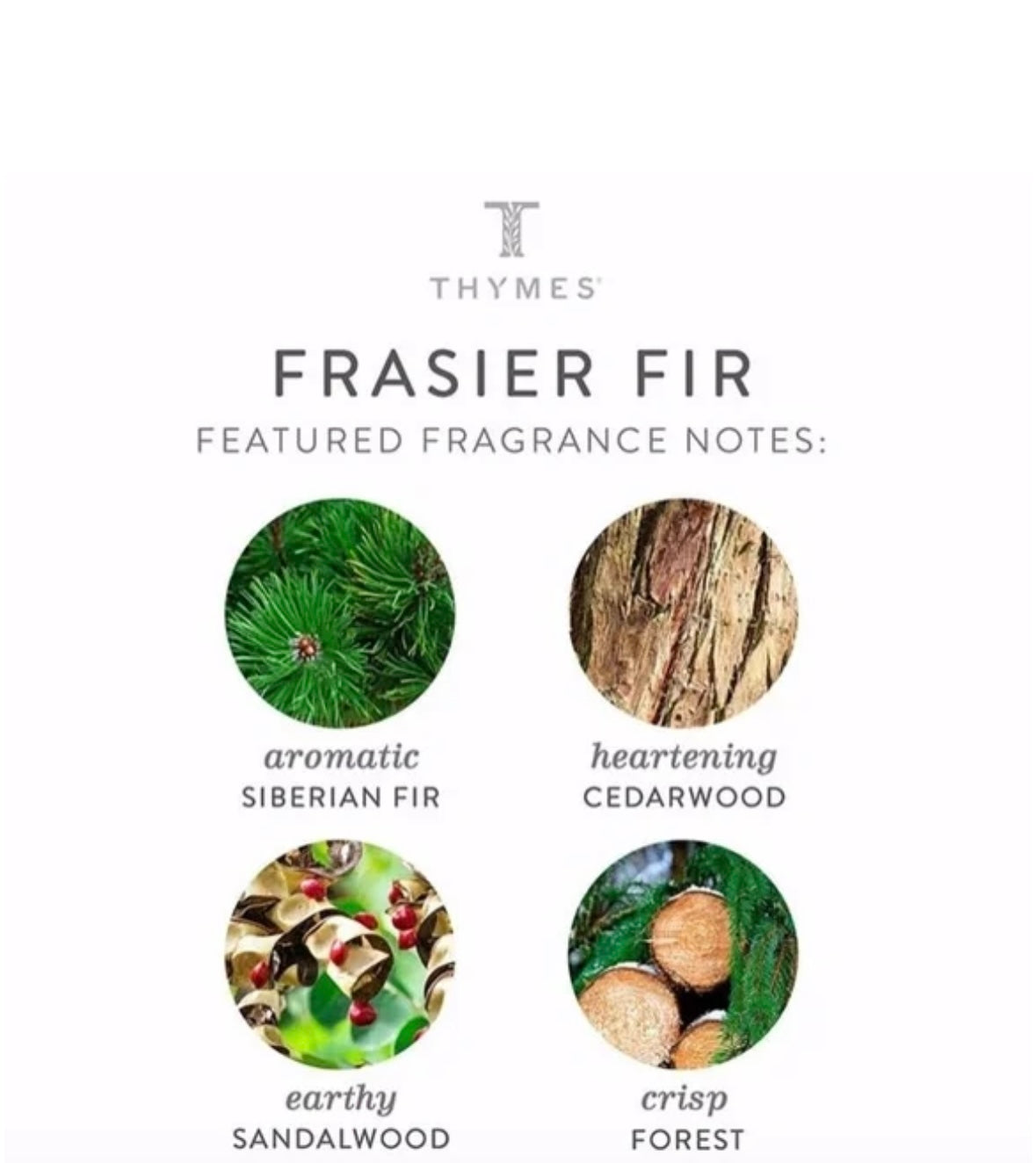 Thymes Frasier Fir Gilded Liquid Free Fragrance Diffuser