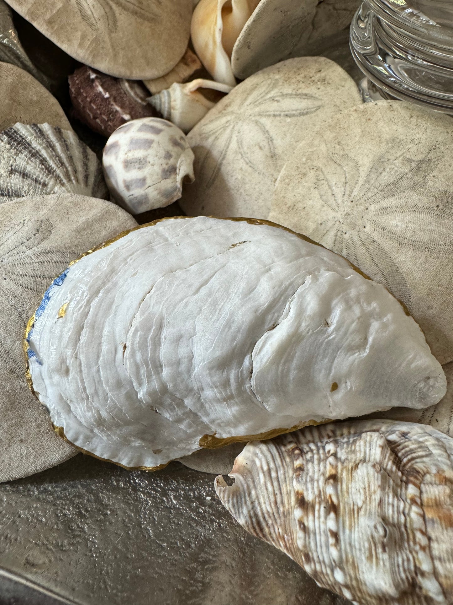 Jewelry Dish - Blur Seashell Print Oyster