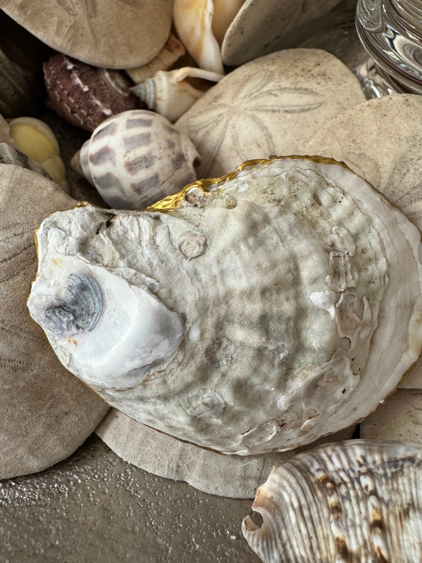 Jewelry Dish - Cherry Blossom Oyster Shell