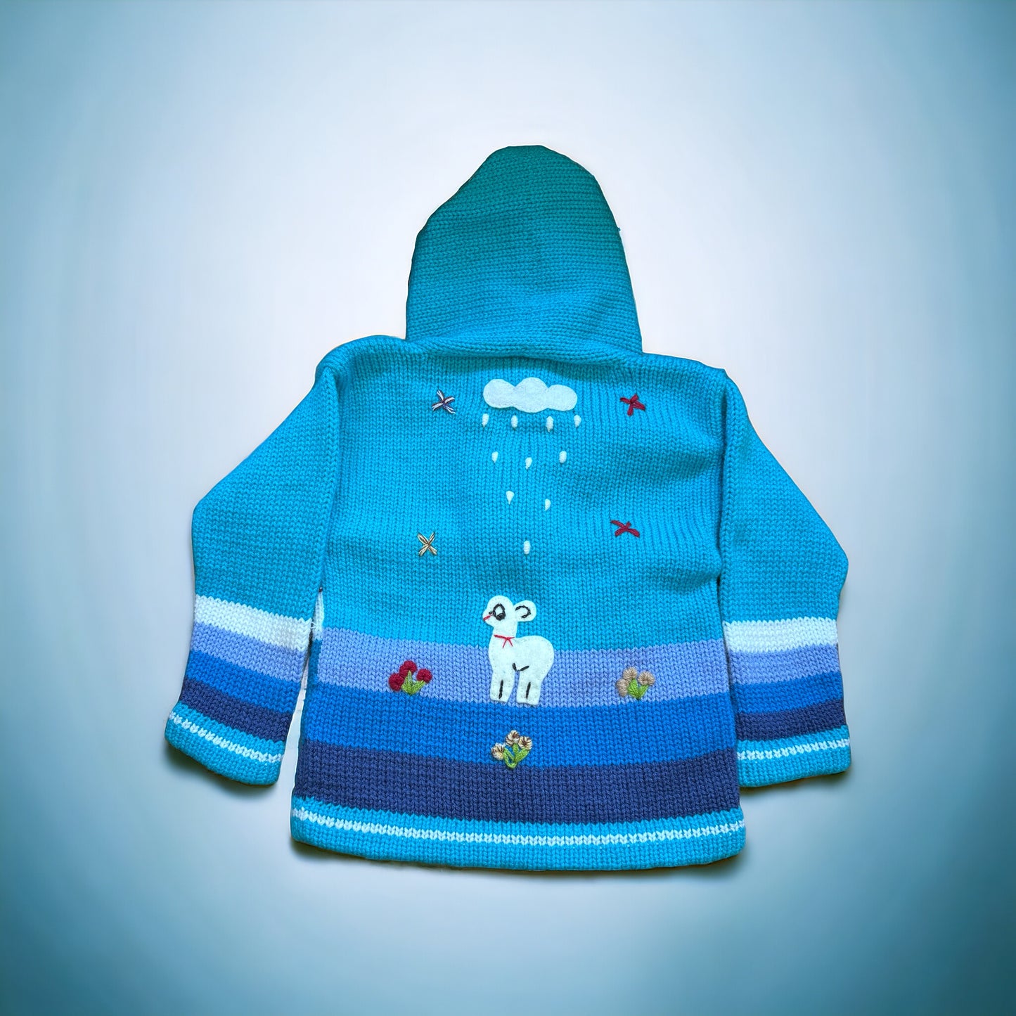 Children's Full Zip Applique Sweater Hoodie - Blue